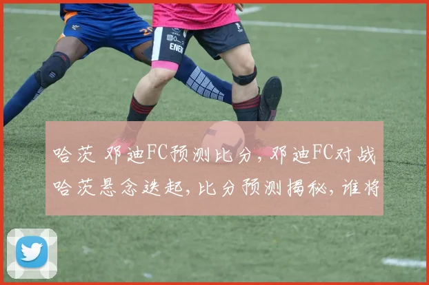 哈茨 邓迪FC预测比分,邓迪FC对战哈茨悬念迭起,比分预测揭秘,谁将问鼎