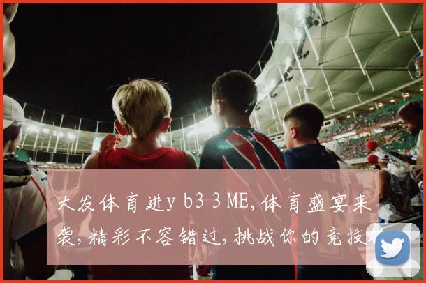 大发体育进y b3 3 ME,体育盛宴来袭,精彩不容错过,挑战你的竞技极限